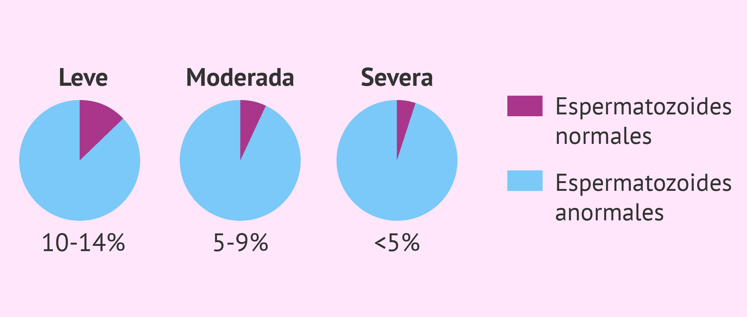 Tipos de teratozoospermia: leve, moderada y severa