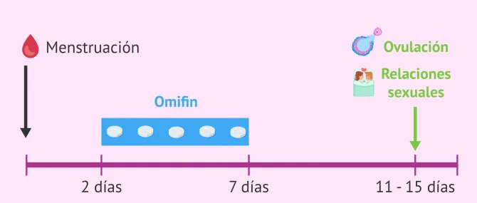 Imagen: Relaciones sexuales programadas con Omifin