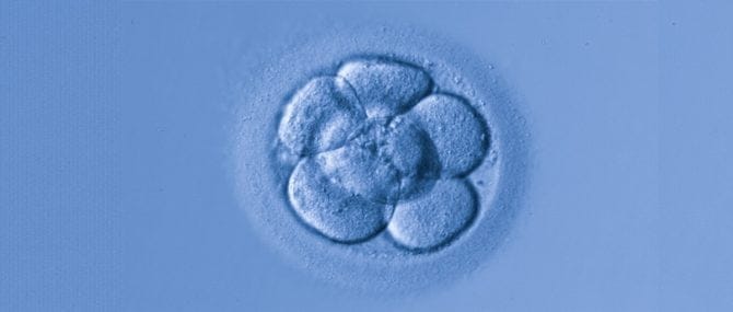 Imagen: Se incrementa la demanda de tratamientos de reproducción asistida