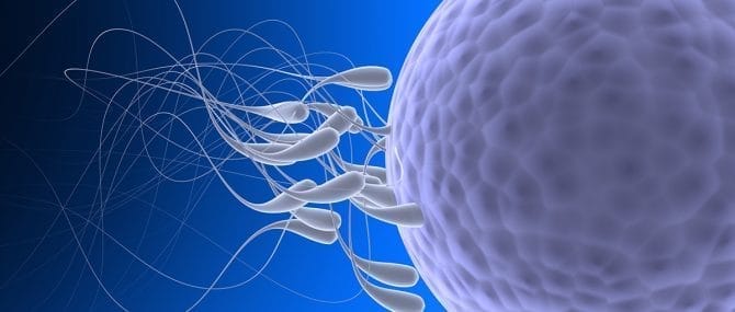 Imagen: Unos investigadores han determinado que a 40 grados centígrados el semen no pierde su calidad.