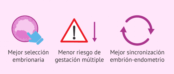 Imagen: Pros del cultivo a blastocisto