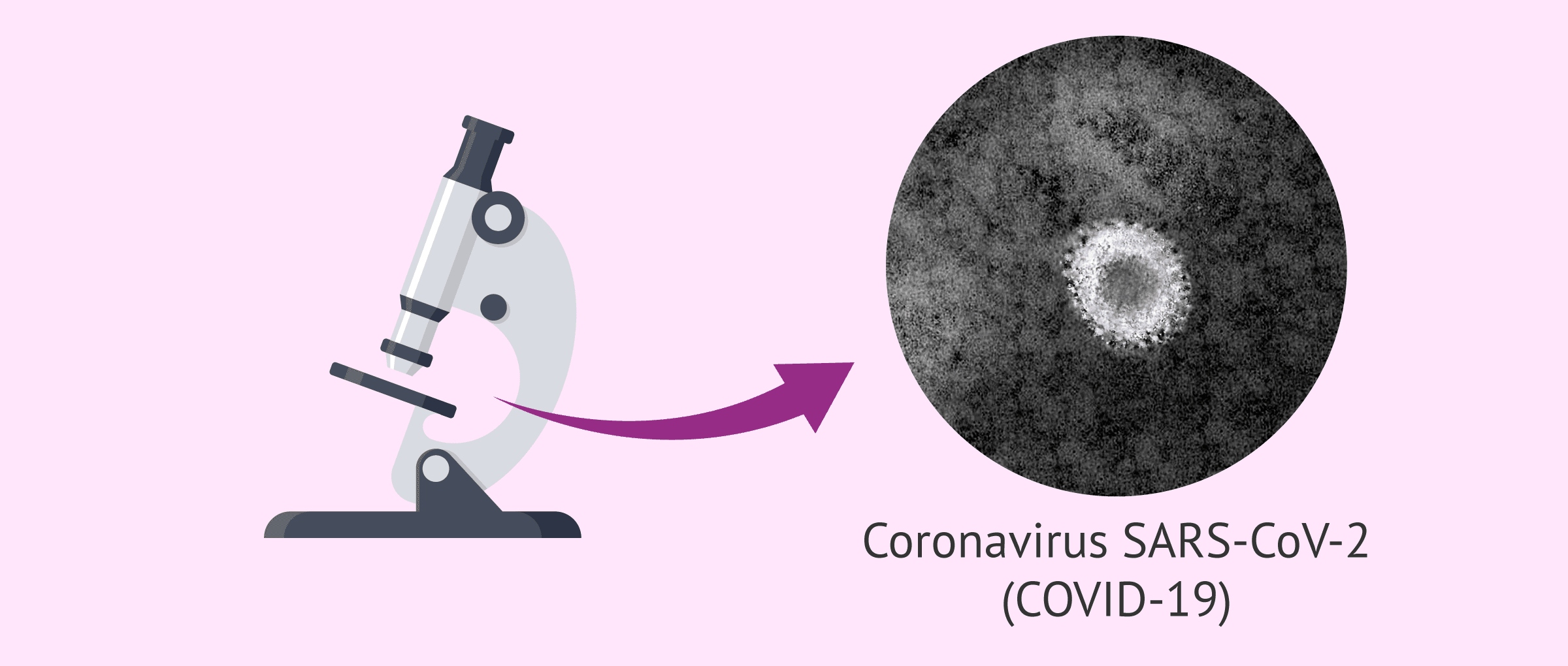 Coronavirus: ¿cómo afecta el estado de alarma a la reproducción asistida?