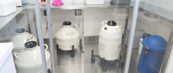 Imagen: Zona de criopreservación Ginemed Madrid Centro