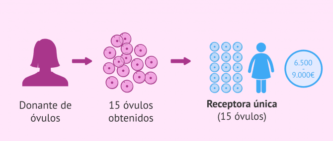 Imagen: Precio de la ovodonación en exclusiva