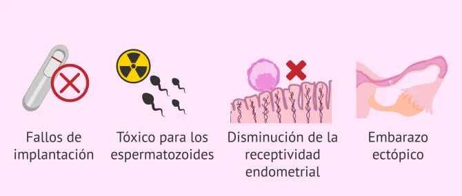 Imagen: Efectos del hidrosalpinx para la fertilidad