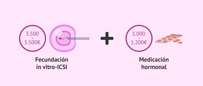 Imagen: ¿Cuánto vale la ICSI?