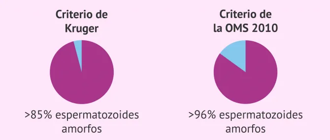 Imagen: Teratozoospermia según los criterios de Krug y la OMS