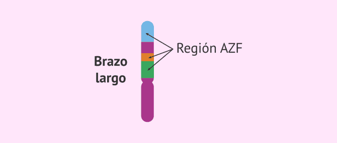 Imagen: region-azf