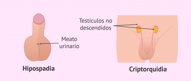 Imagen: Consecuencias de los pesticidas en el feto