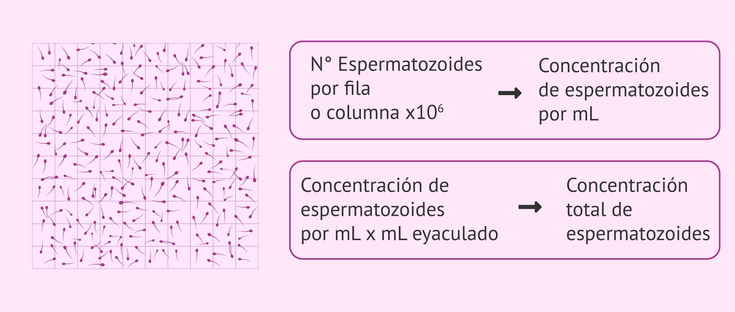 Shokdagi qiz hayratlanarli darajada sikishadi