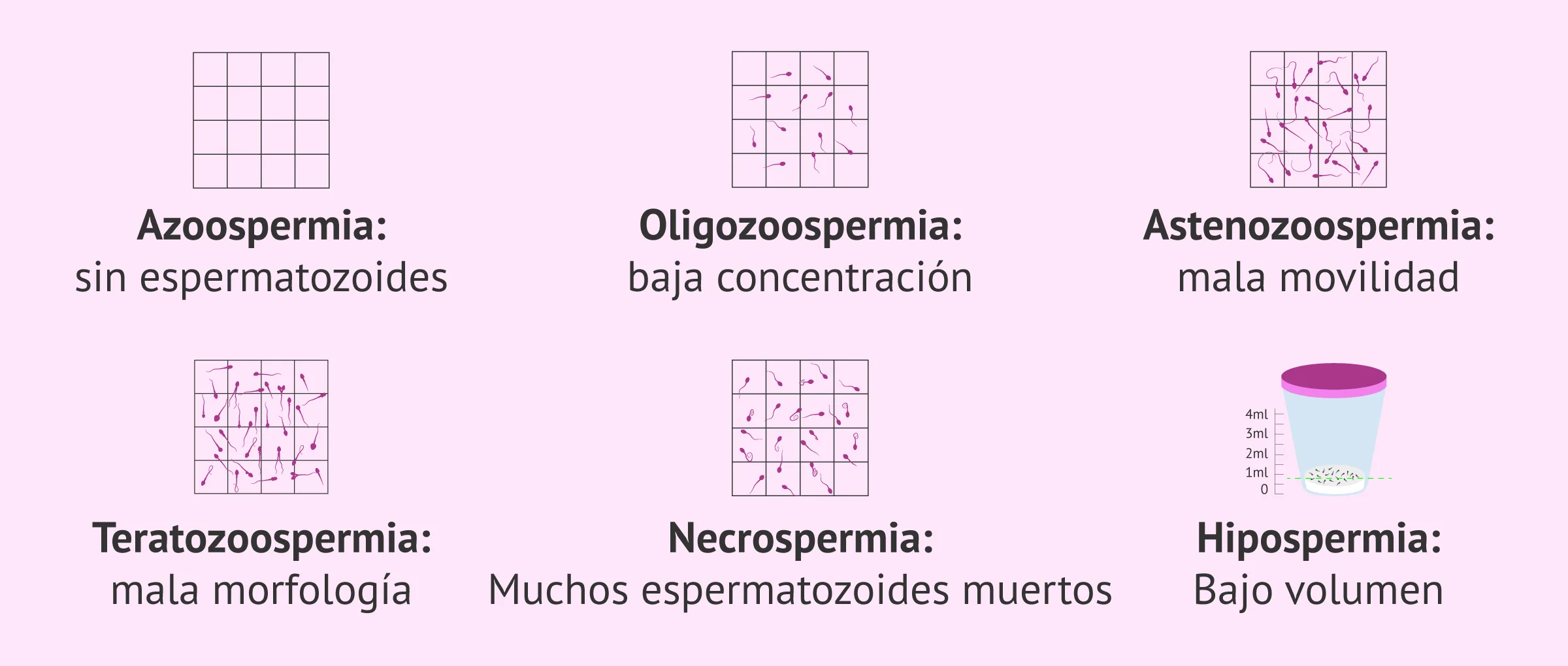 Naruto porno jinsiy aloqa tomosha qiling Vertolyot yonida gozal jinsiy aloqa. Erotik.