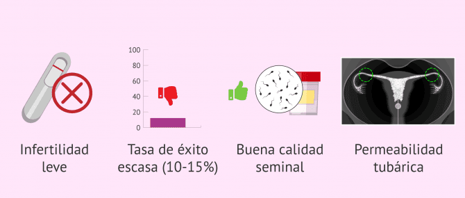 Imagen: Indicaciones y desventajas del coito programado
