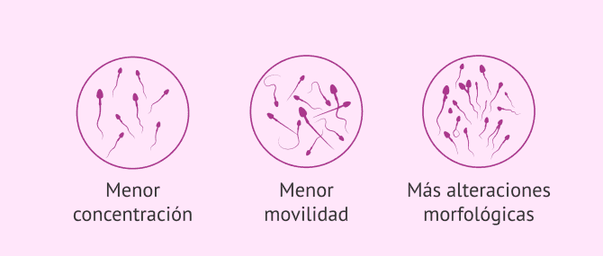 Imagen: Peor calidad seminal
