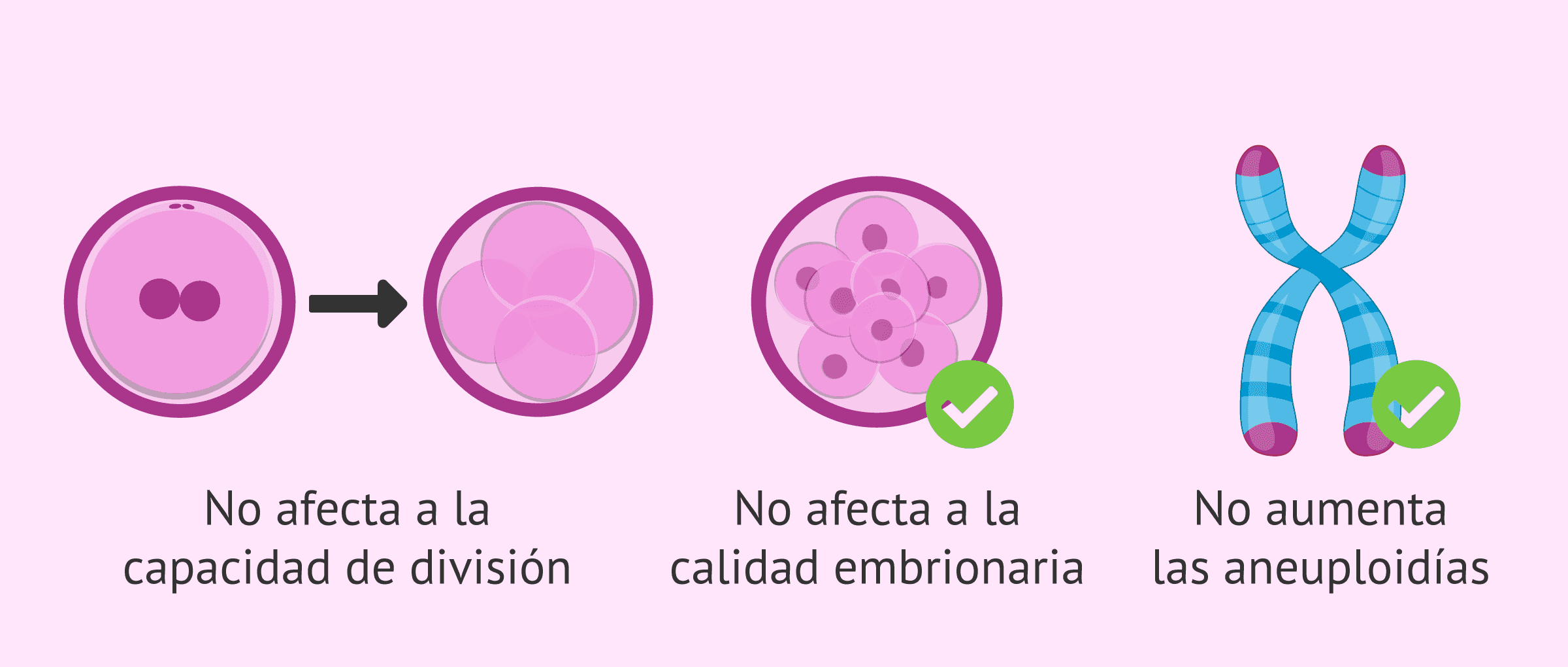 ¿Influye la estimulación ovárica en la calidad de los embriones?