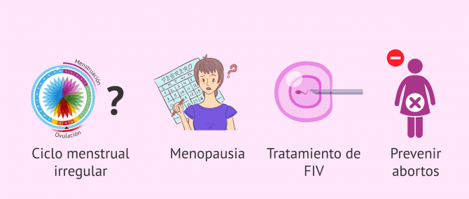 Imagen: Usos del Utrogestán