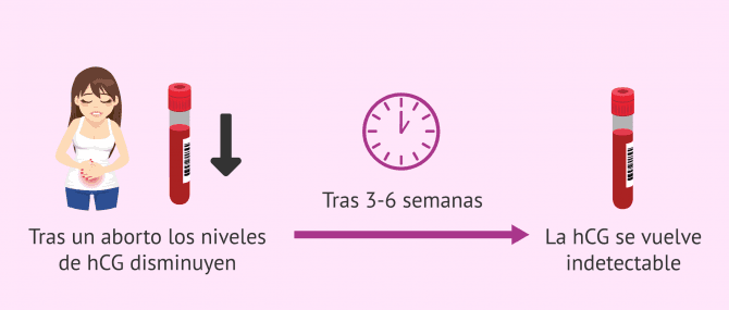 Imagen: Los niveles de hCG disminuyen tras el aborto