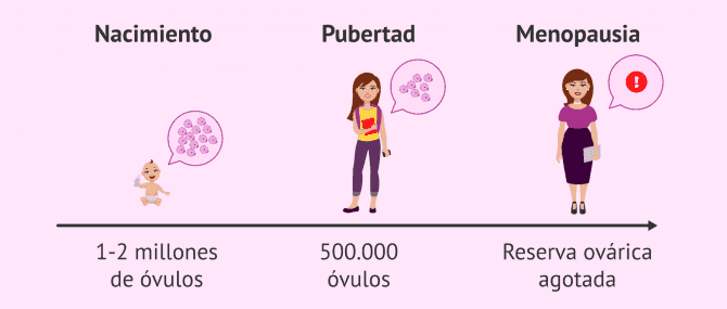 Imagen: Disminución de la reserva ovárica