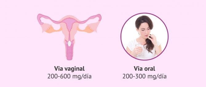 Imagen: Aplicación de Utrogestan