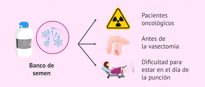 Imagen: banco-de-semen