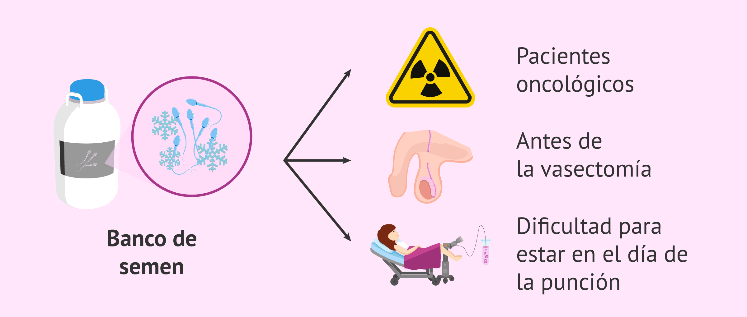 ¿Qué es un banco de semen?