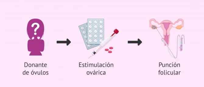 Imagen: Ser donante