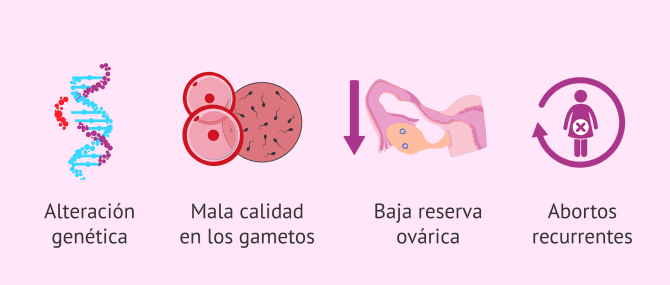 Imagen: Indicaciones para la donación de gametos