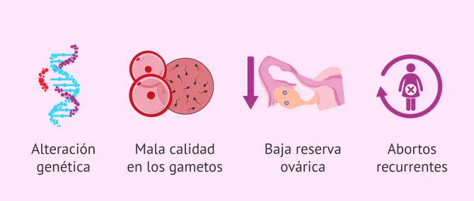 Imagen: Indicaciones para la donación de gametos