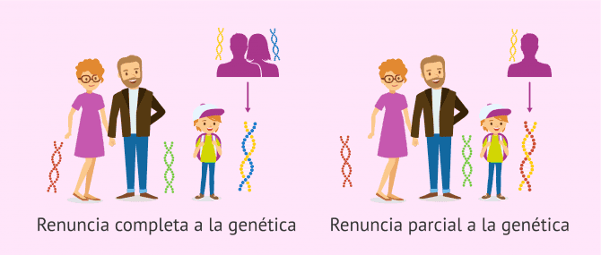 Imagen: Herencia en donación
