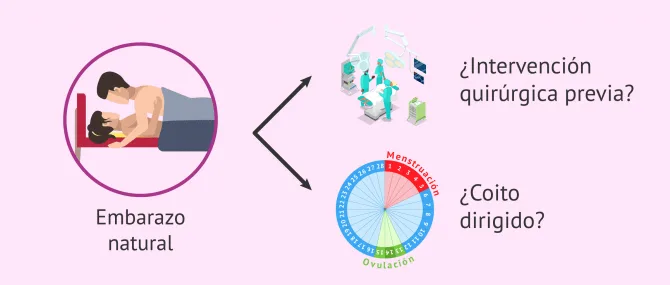 Imagen: Embarazo natural con endometriosis