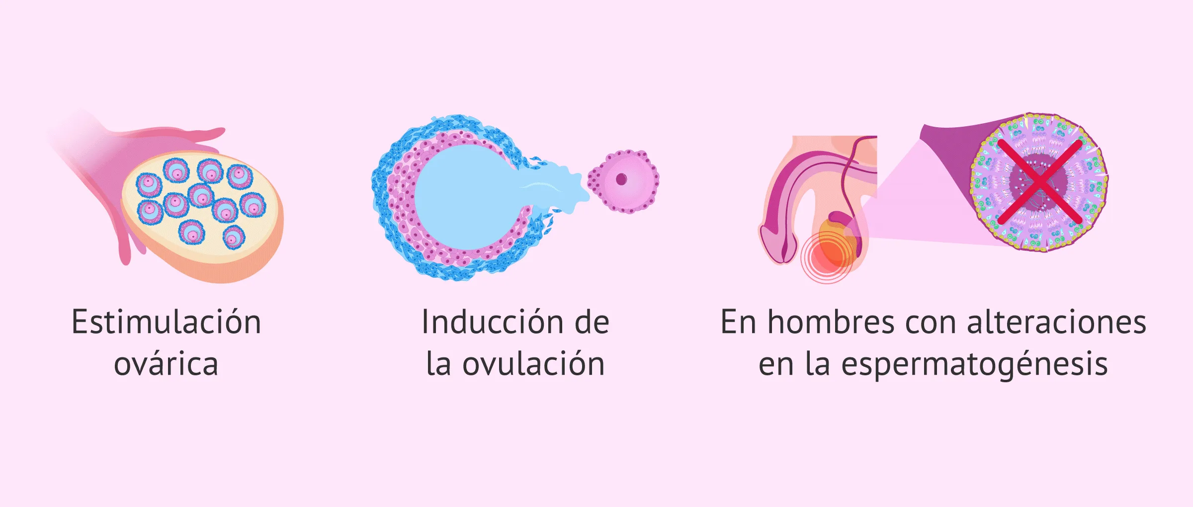 Imagen: Usos del Puregon 600