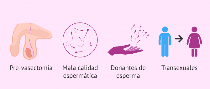 Imagen: Otras indicaciones para congelar semen