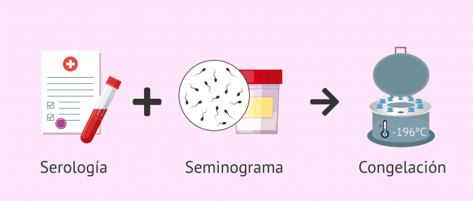 Imagen: Requisitos para la congelación de semen