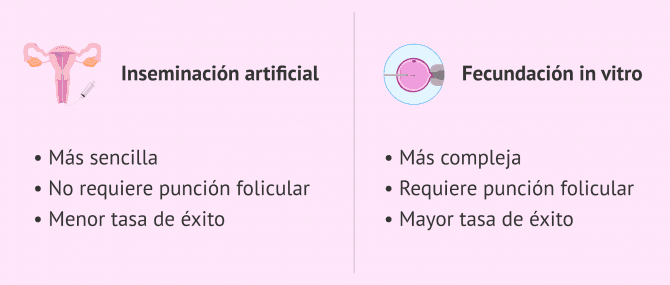 Imagen: Diferencias entre IA y FIV