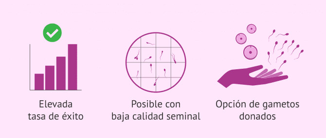 Imagen: ¿Qué ventajas tiene la FIV?