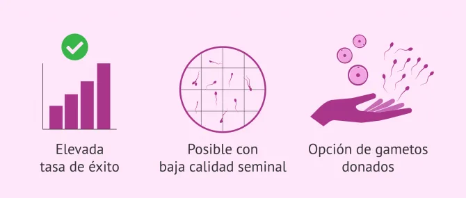 Imagen: ¿Qué ventajas tiene la FIV?
