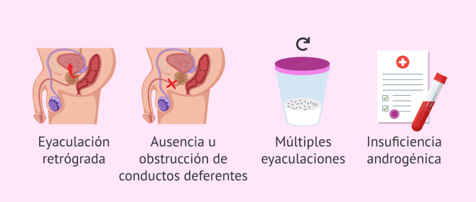 Imagen: ¿Cuáles son las causas de la hipospermia?