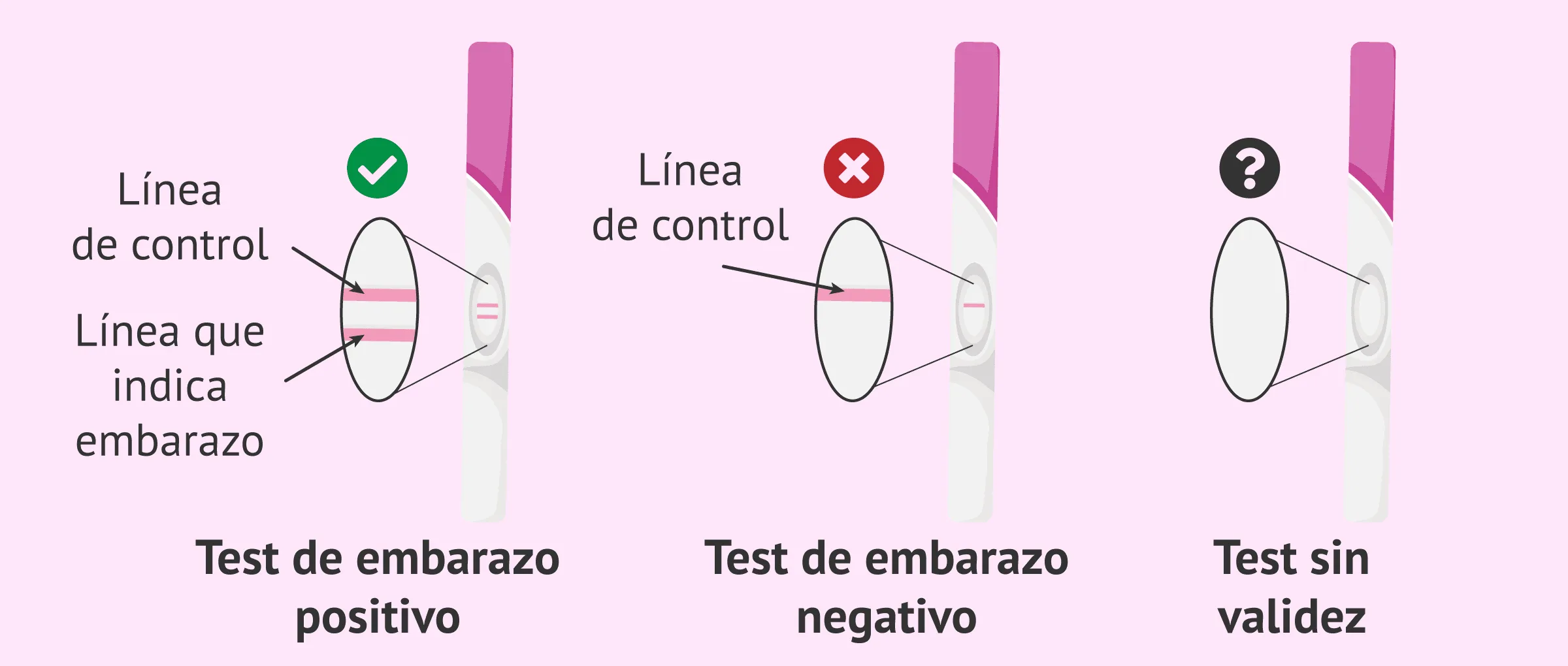 Cuándo hacer un test de embarazo para que sea fiable?