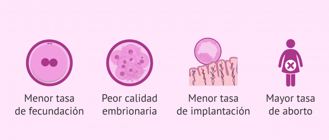 Imagen: Fragmentación del ADN espermático y fertilidad masculina