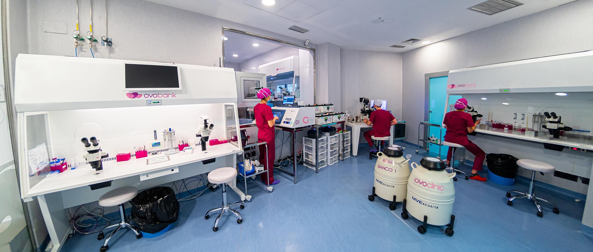 Imagen: Laboratorio de Ovoclinic Marbella