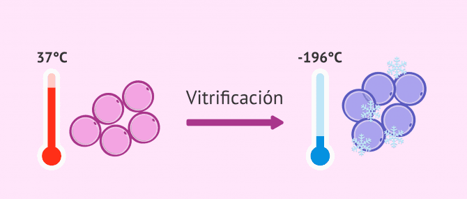 Imagen: ¿Qué significa vitrificar ovocitos?