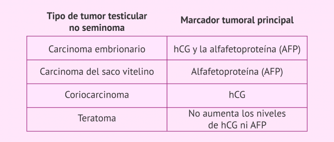 Imagen: Tabla de los tipos de no seminomas y su marcador tumoral