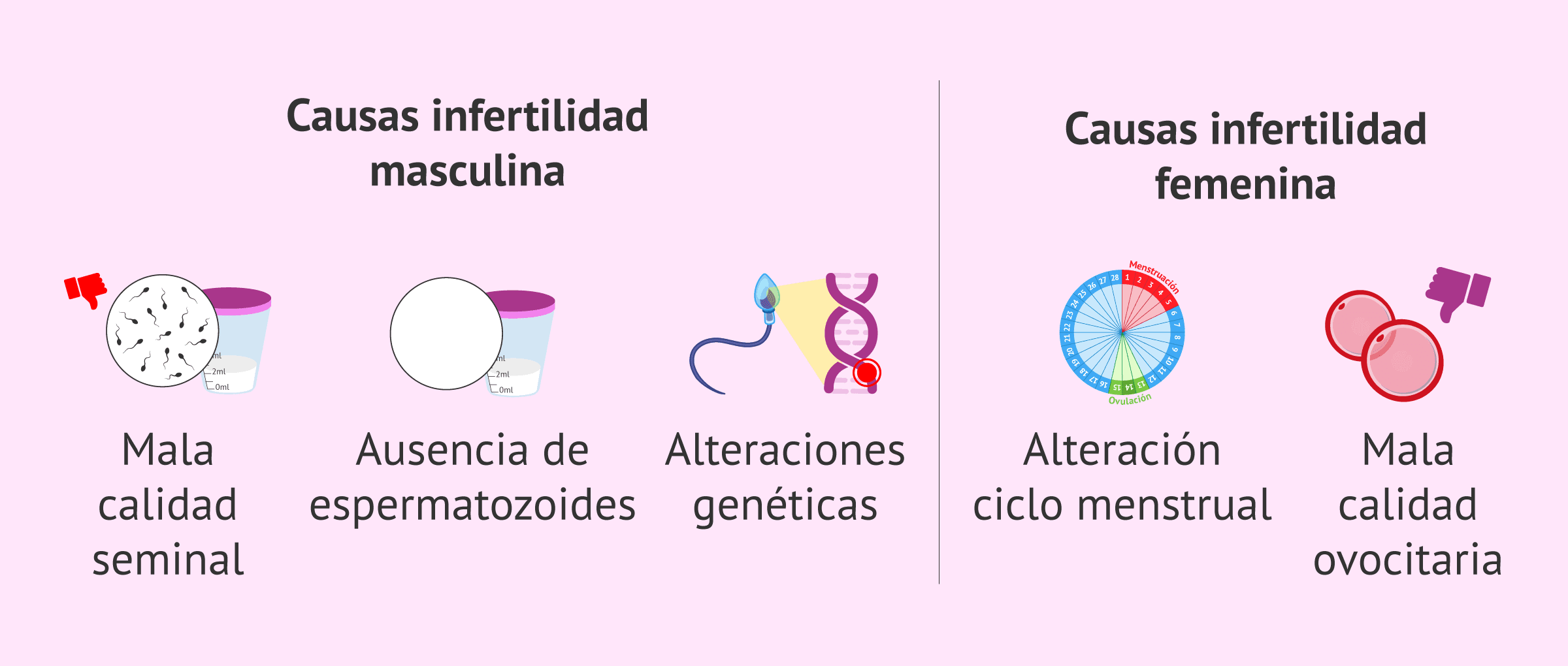 Imagen: Algunas causas de infertilidad masculina y femenina