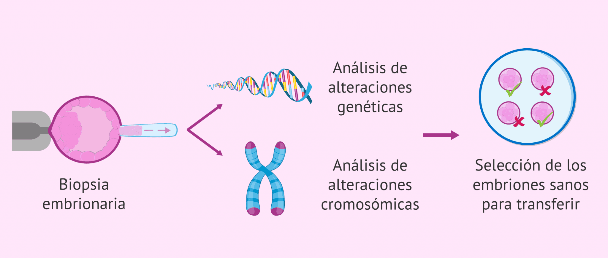 La reproducción asistida: tipos, precio y Seguridad Social