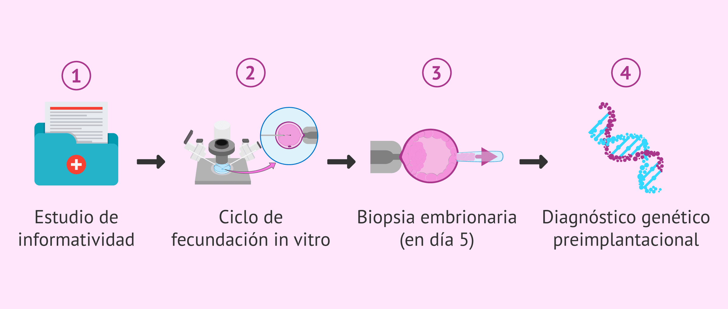 ¿Qué es el estudio de informatividad?