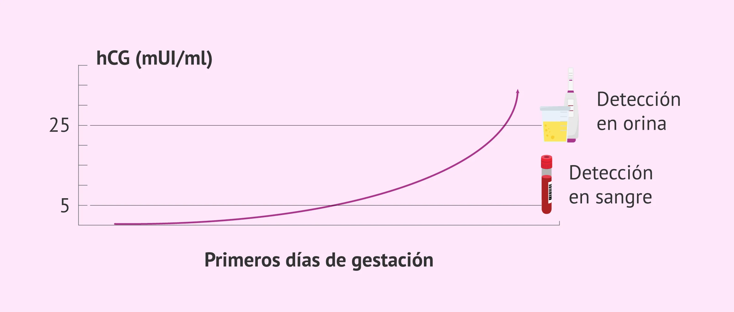 Sensibilidad prueba de embarazo en sangre y orina