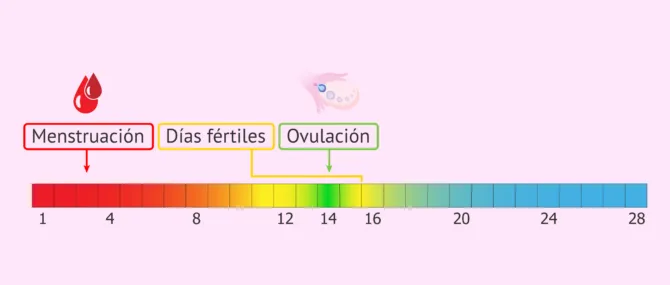 Es posible quedarse embarazada en los dias de la menstruacion