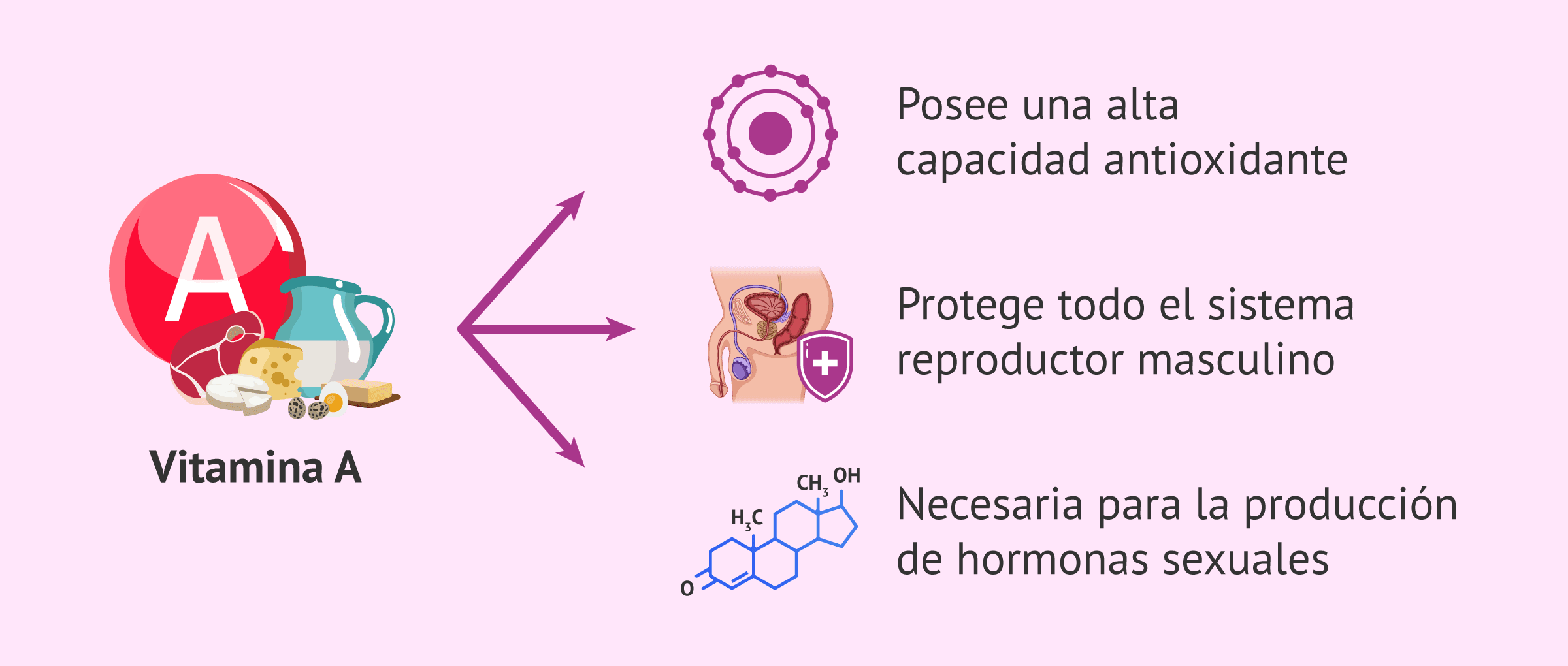 Imagen: Propiedades de la vitamina A para el hombre