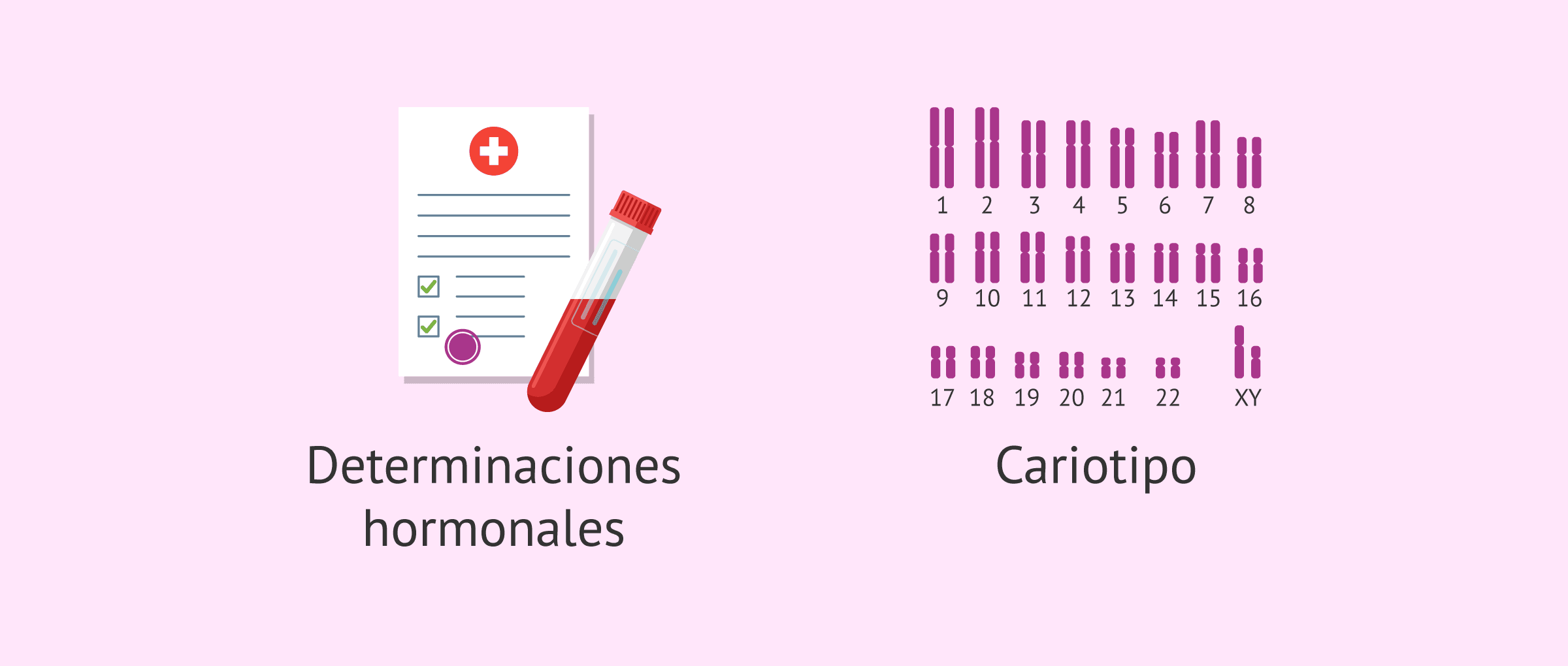 Imagen: Pruebas diagnósticas para la criptorquidia bilateral
