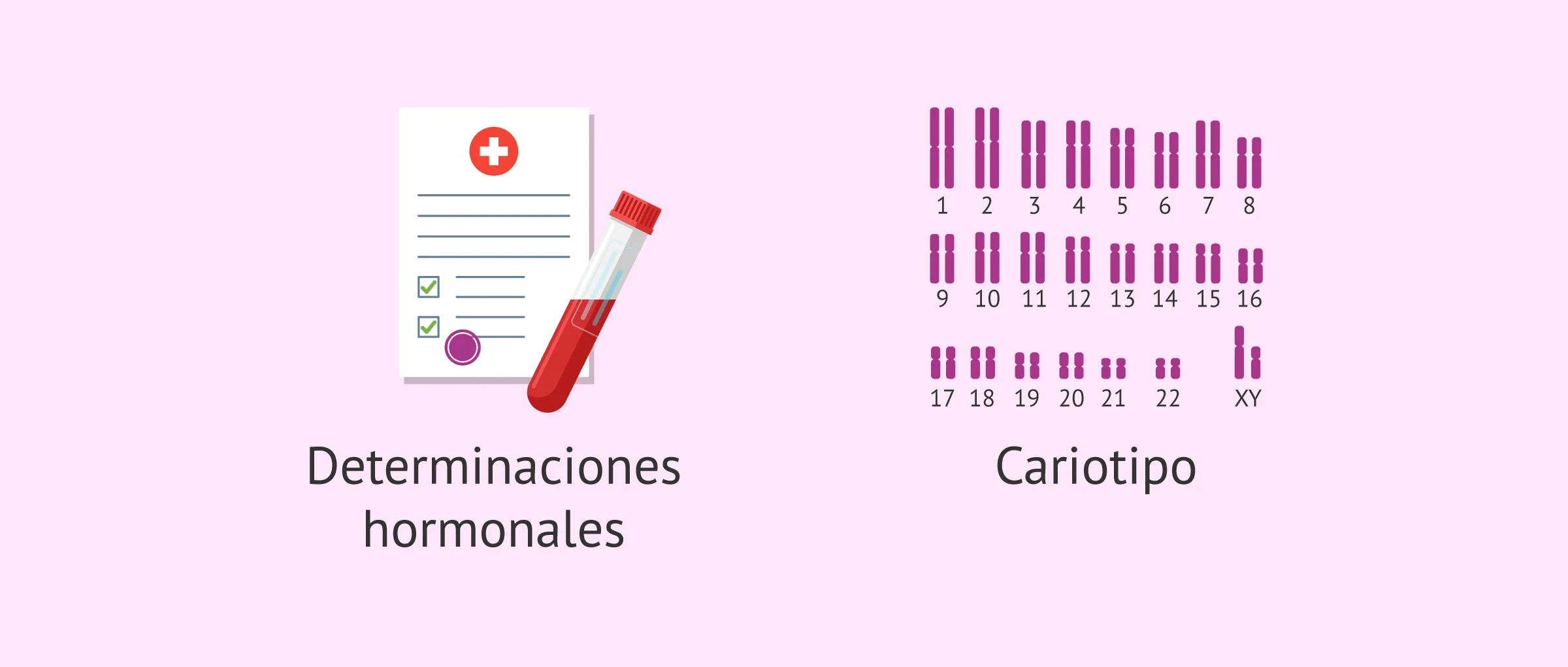 Imagen: Pruebas diagnósticas para la criptorquidia bilateral