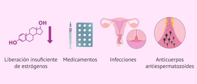 Imagen: ¿Qué ocasiona cambios en el moco cervical?